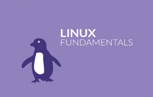 Linux Fundamentals for IT Professionals Udemy Course Free