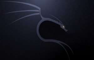 Kali Linux Basics For Hackers Free Course Udemy 1 Kali Linux Basics for Hackers Free Course Udemy