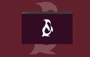 Linux Basics For Beginners Free Course Udemy 1 Linux Basics For Beginners Free Course Udemy