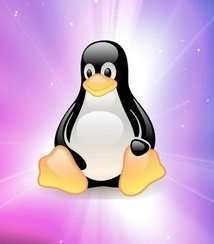 The Ultimate Linux Command Line Course Free 1 The Ultimate Linux Command Line Course Free