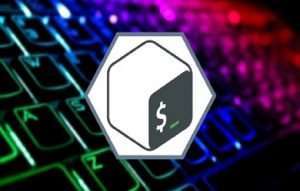 Bash Basics for Cloud Computing Course Free 1 Bash Basics for Cloud Computing Course Free