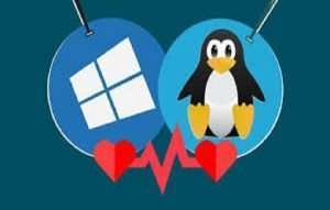 Kali Linux and Windows Terminal Course Free 1 Kali Linux and Windows Terminal Course Free