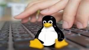 Linux Shell Bash Commands From Scratch Online Course Free 1 Linux Shell Bash Commands From Scratch Online Course Free