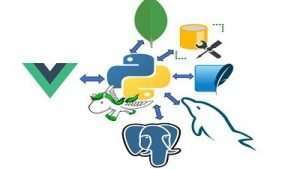 Vue JS and Python Django Full Stack Web Development Free Course 1 Vue JS and Python Django Full Stack Web Development Free Course
