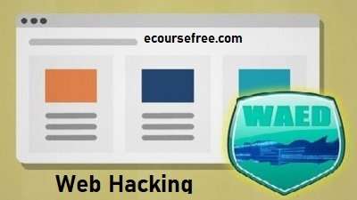 Learn Web Application Hacking with Burp Proxy Hacking Tool Free Course