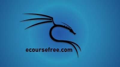 Learn Kali Linux Installation in Vmware Online Course Free