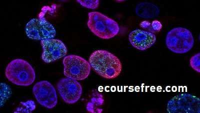 Learn The Foundations of Biology An Introduction Free Course 1 Learn The Foundations of Biology An Introduction Free Course