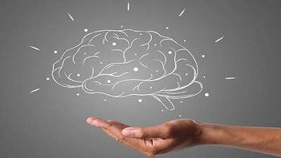 Learn Neuroplasticity How To Rewire Your Brain Online Free Course