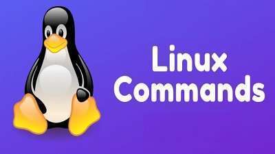 Learn Linux Essential Commands Online Free Course